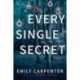 Every Single Secret: A Novel