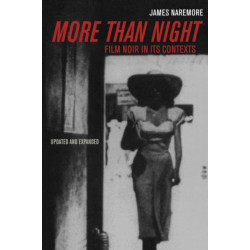 More than Night: Film Noir in Its Contexts