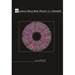 Quantum Many-Body Physics in a Nutshell