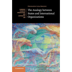 The Analogy between States and International Organizations