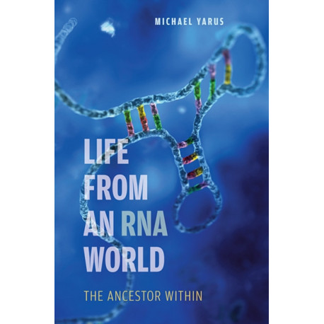 Life from an RNA World: The Ancestor Within