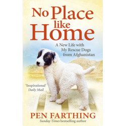 No Place Like Home: A New Beginning with the Dogs of Afghanistan