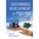 Sustainability in the Twenty-First Century: Applying Sustainomics to Implement the Sustainable Development Goals