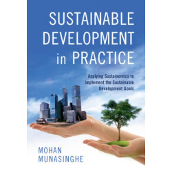 Sustainability in the Twenty-First Century: Applying Sustainomics to Implement the Sustainable Development Goals