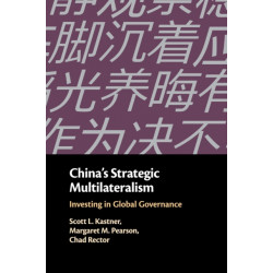 China's Strategic Multilateralism: Investing in Global Governance