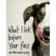 What I Lick Before Your Face ... and Other Haikus By Dogs