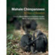 Mahale Chimpanzees: 50 Years of Research