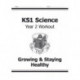 KS1 Science Year 2 Workout: Growing & Staying Healthy