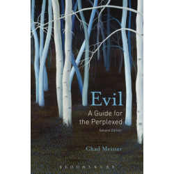 Evil: A Guide for the Perplexed