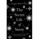 The Secret Life of Snow: The science and the stories behind nature's greatest wonder