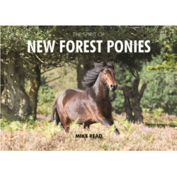 The Spirit of New Forest Ponies