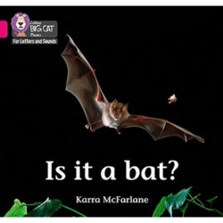 Is it a Bat?: Band 01b/Pink B