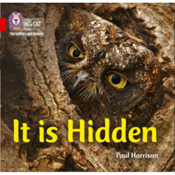 It is Hidden: Band 02b/Red B