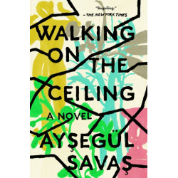 Walking on the Ceiling: A Novel