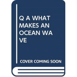 Q A WHAT MAKES AN OCEAN WAVE