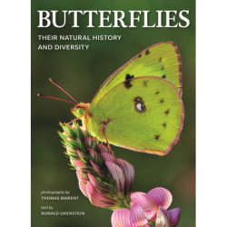 Butterflies: Their Natural History and Diversity