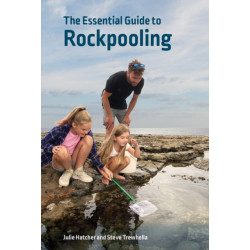 The Essential Guide to Rockpooling