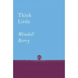 Think Little: Essays