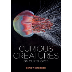 Curious Creatures on our Shores