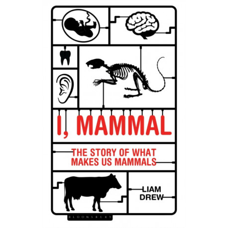 I, Mammal: The Story of What Makes Us Mammals