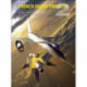 French Secret Projects 2: Bombers, Patrol And Assault Aircraft