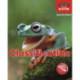 Foxton Primary Science: Classification (Upper KS2 Science)