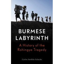 The Burmese Labyrinth