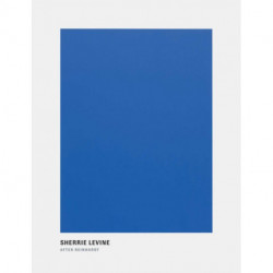 Sherrie Levine: After Reinhardt
