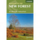 Walking in the New Forest: 30 Walks in the New Forest National Park