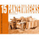 Panzerwrecks 15: German Armour 1944-45