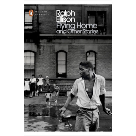Flying Home And Other Stories