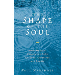 The Shape of the Soul: What Mystical Experience Tells Us about Ourselves and Reality