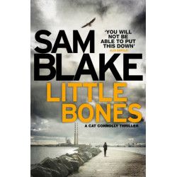 Little Bones: A disturbing Irish crime thriller