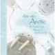 Into the Arctic