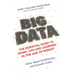 Big Data: The Essential Guide to Work, Life and Learning in the Age of Insight
