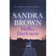 Hello, Darkness: The gripping thriller from -1 New York Times bestseller