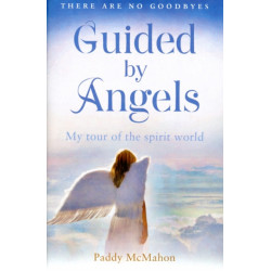 Guided By Angels: There are No Goodbyes, My Tour of the Spirit World