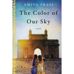 The Color of Our Sky: A Novel