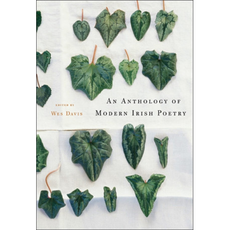An Anthology of Modern Irish Poetry