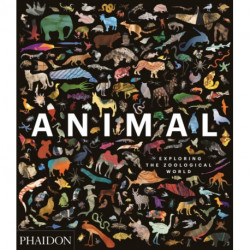 Animal: Exploring the Zoological World