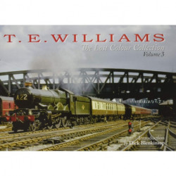 T.E. T.E. WILLIAMS - THE LOST COLOUR COLLECTION: VOLUME 3