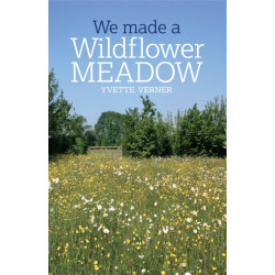 We Made a Wildflower Meadow