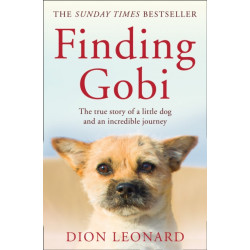 Finding Gobi (Main edition): The True Story of a Little Dog and an Incredible Journey