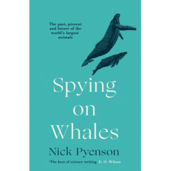 Spying on Whales: The Past, Present and Future of the World’s Largest Animals