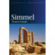 Simmel