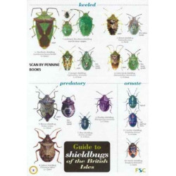 Guide to Shieldbugs of the British Isles