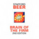 Brain of the Firm