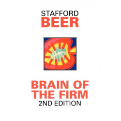 Brain of the Firm