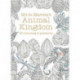 Millie Marotta's Animal Kingdom Postcard Box: 50 beautiful cards for colouring in