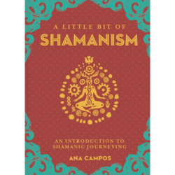Little Bit of Shamanism, A: An Introduction to Shamanic Journeying